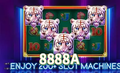 8888A Sistema Rápido